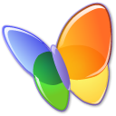 msn